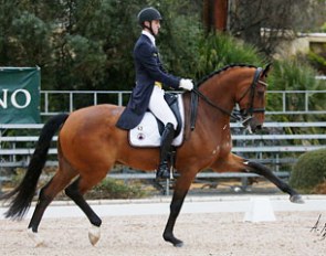 Sönke Rothenberger and Cosmo at the 2016 CDI Jerez de la Frontera :: Photo © Top Iberian