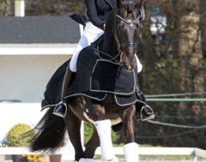 Celine Rorbaek Silfen on Romio Hojris at the 2016 CDI Nieuw en St. Joosland :: Photo © Digishots