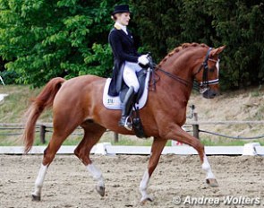Beatrice Buchwald and Quintus at the 2016 CDN Kaarst :: Photo © Andrea Wolters