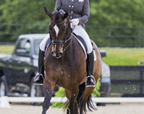 Karen Pavicic and Don Daiquiri at the 2016 CDI Langley :: Photo © Cara Grimshaw