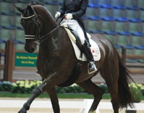 Japanese Akane Kuroki made her international debut on Imke Schellekens' former ride Toots. Akane did well steering the massive 1.88m standing black through the test but it was still very much hand controlled