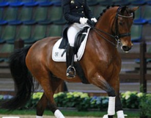 Fanny Verliefden and Annarico at the 2016 CDI Lier :: Photo © Astrid Appels