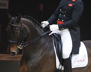 Fouad Zafat and Nintendo at the 2016 CDI Lier :: Photo © Astrid Appels