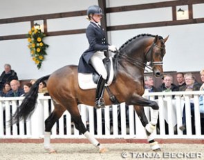 Femke Beljon and Uphill at the 2016 Spring Breeders' Meeting at the Dressage Performance Centre in Lodbergen, Germany :: Photo © Tanja Becker