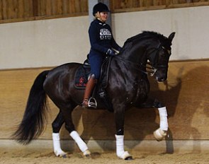 Fie Skarsoe and her new Grand Prix hopeful So Dark