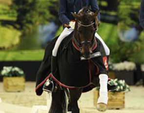 Diederik van Silfhout and Arlando at the 2016 CDI Maastricht :: Photo © Astrid Appels