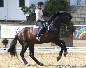 Helen Langehanenberg preparing Damsey for their CDI debut at the 2016 CDI Mannheim :: Photo © Silke Rottermann