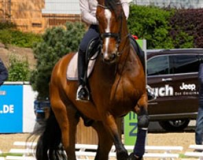 Helen Langehanenberg on her small tour horse Suppenkasper