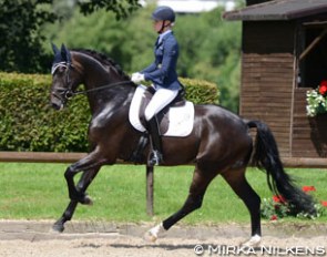 Annabel Frenzen and SilberStern at the 2016 CDN Mönchengladbach :: Photo © Mirka Nilkens