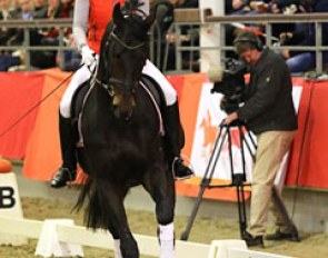 Klimke's former apprentice Lara Heggelmann on the Fürstenball-offspring Fürst Stern
