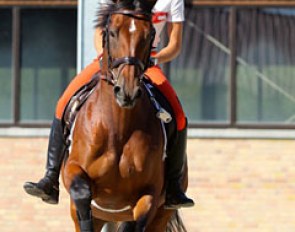 Ingrid on her German Olympic eventing team horse Hale Bop