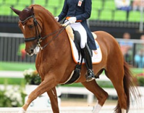 Adelinde Cornelissen on Parzival