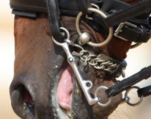 Crank noseband :: Photo © Astrid Appels