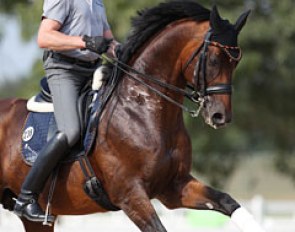 Hubertus Schmidt and Imperio training at the 2016 Olympic Games :: Photo © Astrid Appels