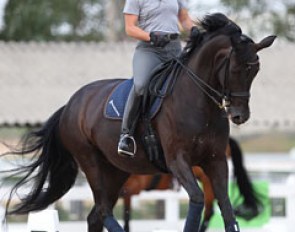 Isabell Werth on Weihegold