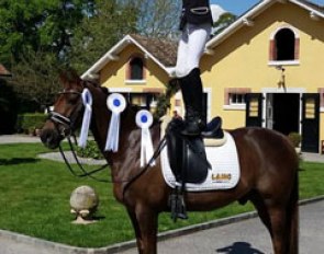 Triple victory for Moritz Treffinger and No Limit at the 2016 CDI Prangins
