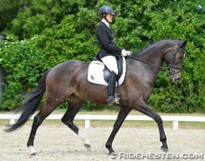 Lotte Wiuff Straarup on F.A. Hallow (by Temptation x Solos Landtinus) :: Photo © Ridehesten