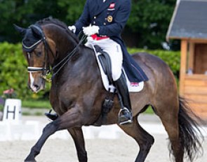 Michael Eilberg and Sa Coeur at the 2016 CDI Roosendaal :: Photo © Digishots