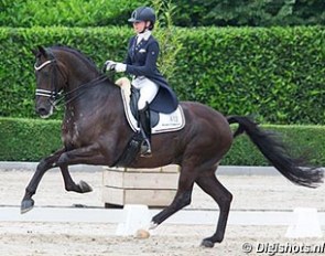 Maxime van der Vlist and Bailey at the 2016 CDI Roosendaal :: Photo © Digishots