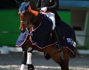Steffen Peters and Rosamunde win the 3* Grand Prix at the 2016 CDIO Rotterdam