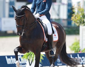 Diederik van Silfhout and Arlando at the 2016 CDIO Rotterdam :: Photo © Astrid Appels