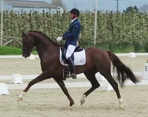 Tommie Visser and Guapo Begijnhoeve at the 2016 CDN Sint-Truiden