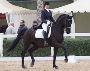 Brigitte van der Hagen and Sir Barnaby at the 2016 CDI Valencia