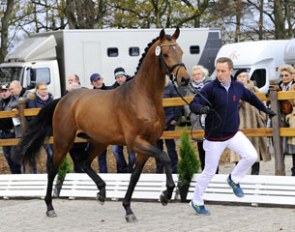 2017 Oldenburg Winter Meeting: Educational Tour for Breeders and Riders