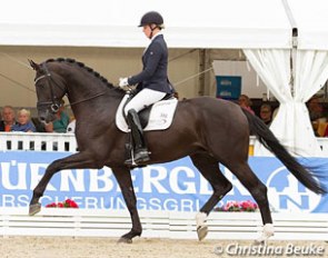 Ann-Christin Wienkamp and Don Martillo at the 2016 Hanoverian Young Horse Championships in Verden :: Photo © Christina Beuke