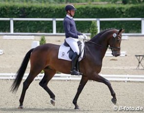 Steffen Frahm and Bluetooth at the 2016 German WCYH selection trial in Warendorf :: Photo © LL-foto