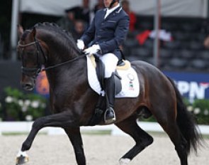 Severo Jurado Lopes on Franklin (by Ampere x Ferro). The dark bay stallion is very powerful and bouncy, but paddles heavily and is too round in trot and canter. He also had a sour expression and did not seem to enjoy the job
