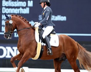 Nuria Vila Perez on Brandon (by Belissimo x Donnerhall)