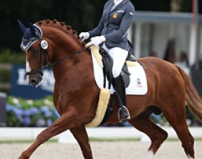 Nuria Vila Perez on Brandon