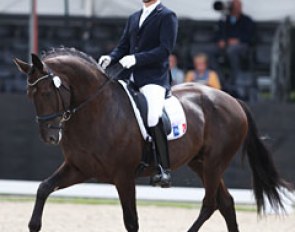 Arnaud Serre on the Lusitano cross bred Addict de Massa (by San Amour x Maestro)