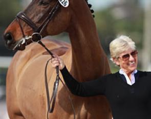 Mette Rosencrantz and Marron at the 2016 CDI Wellington :: Photo © Astrid Appels