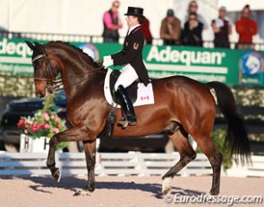 Belinda Trussell and Anton competing in Wellington :: Photo © Astrid Appels