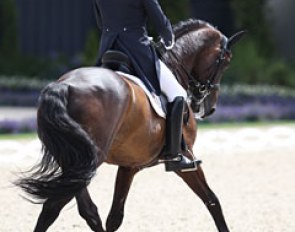 David Engelen on Royal Rubinstein
