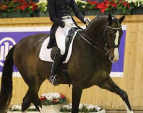 Amber de Groot on R Banderas