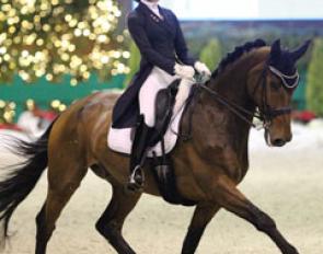 Look who's back after a three year break from competition: Torricelli. Previously owned and ridden by Lotje Schoots, now under Aimee Meddens