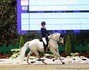 Micky Schelstraete on Elin's Noncisdador