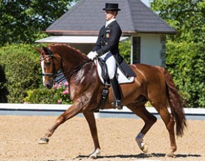Boaventura Freire and Sai Baba at the 2017 CDI Achleiten :: Photo © Michael Rzepa