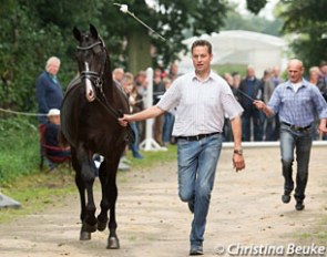 A Finest x Sandro Hit being trotted at the 2017 Hanoverian Stallion Pre-Selection in Altenbruch, Germany :: Photo © Christina Beuke