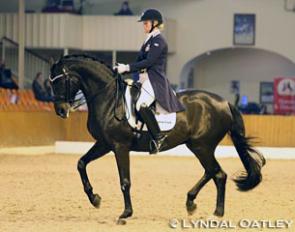 Malin Nilsson on Rubin Cartier at the 2017 CDN Ankum :: Photo © L. Oatley