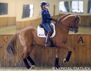 Sofie Lexner and Tobajo Pik Disney training at Patrik Kittel's in Germany :: Photo © L. Oatley