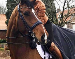 Lyndal Oatley and her new ride Elvive (by Tuschinski x Don Schufro)