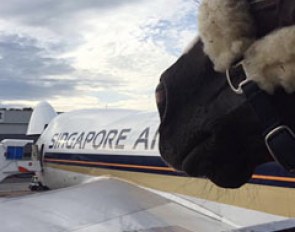 Dejavu MH having boarded the cargo plane that flew him from Auckland to the U.K, a 50-hour trip of travel and transit time
