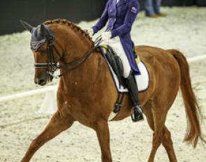 Julie Brougham and Vom Feinsten at the 2017 CDN Auckland :: Photo © Libby Law
