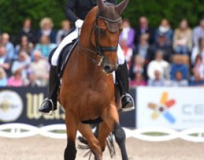 Isabell Werth and Emilio at the 2017 German Championships :: Photo © Barbara Schnell