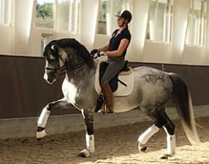 Ellen McCarthy on her newest acquisition, Tailormade Lancelot