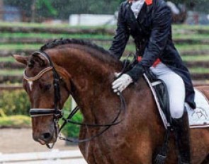 Michael Bugan pats For President at the end of his ride at the 2017 CDI-W Brno :: Photo © Lukasz Kowalski